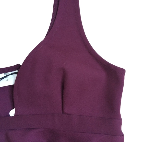 ALice & UO Urban Outfitters Eden Mini Dress Wine/ Burgundy Medium - Picture 9 of 17